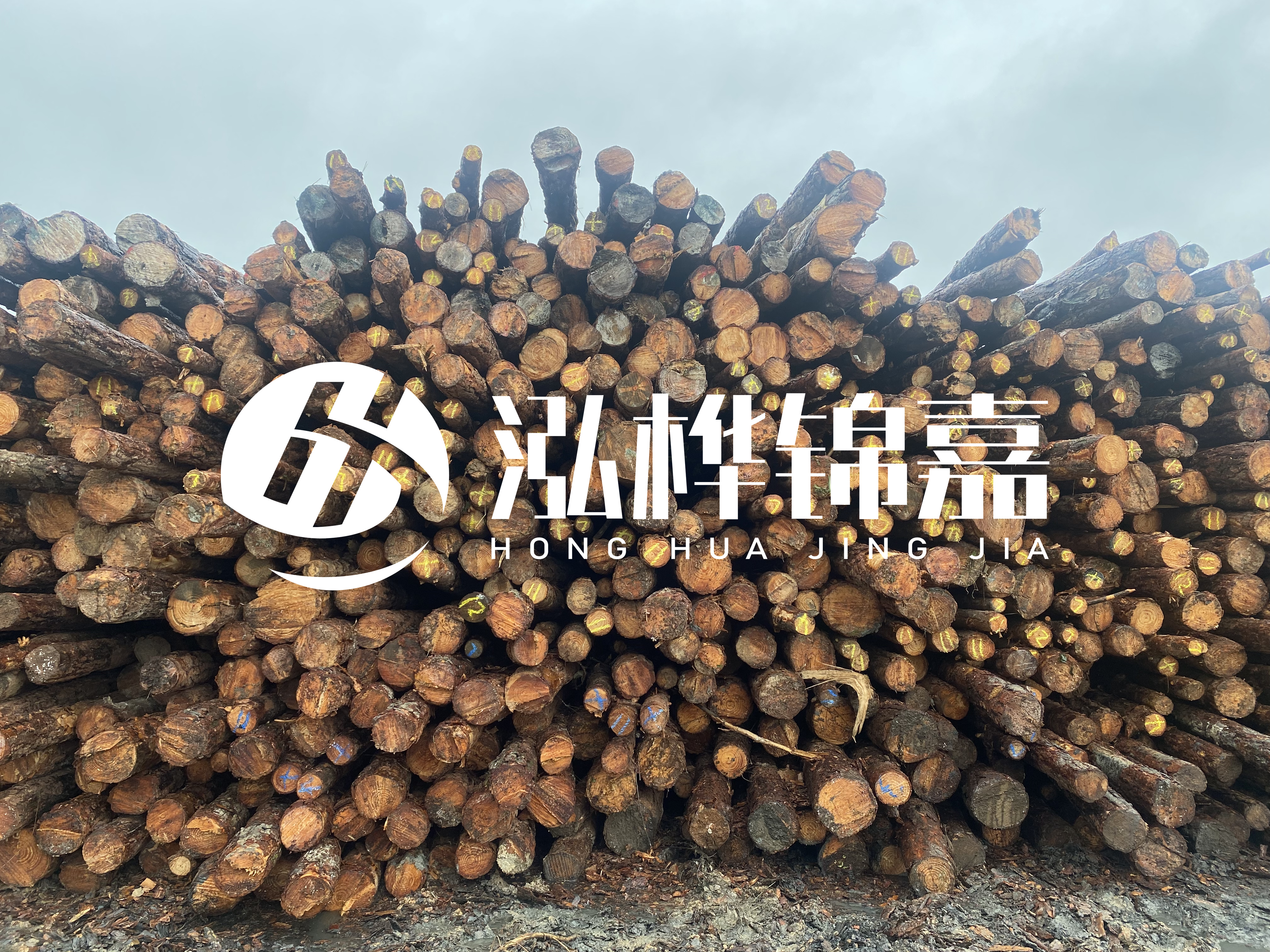 松木樁的直徑一般取多少？