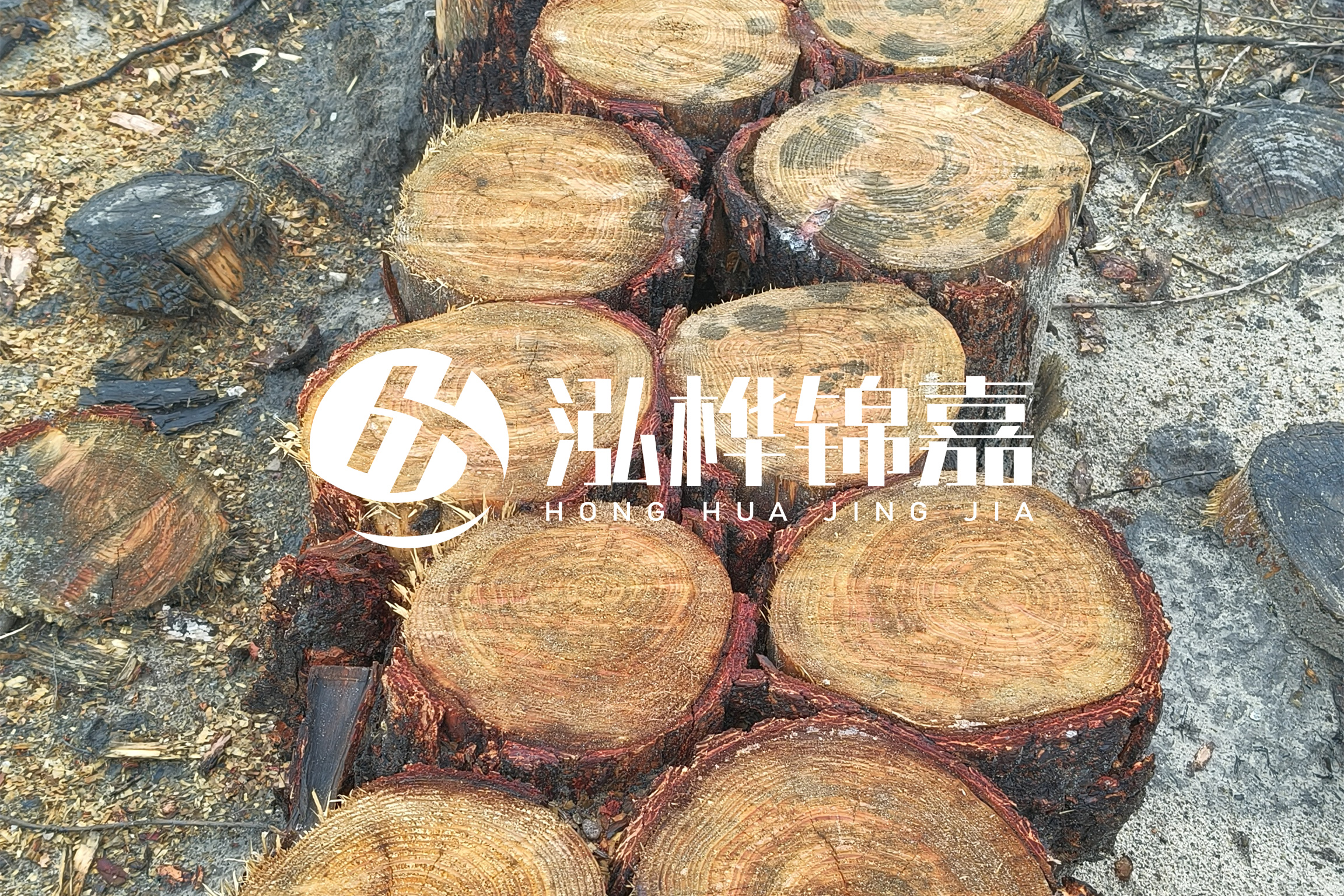 浙江臺州有清淤的公司嗎？浙江臺州有清淤施工隊嗎？