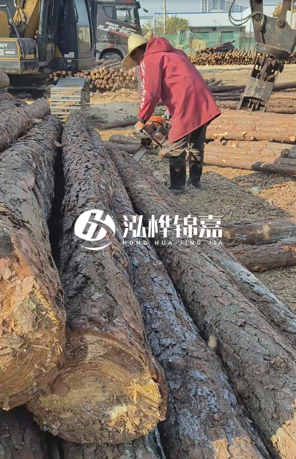 長(zhǎng)沙打樁木批發(fā)廠家在哪里？聯(lián)系方式是什么？