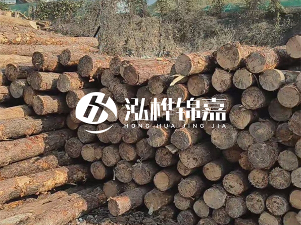落葉松木材的主要產(chǎn)地在哪里？為什么比其他松木更耐腐蝕？
