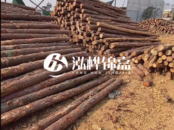 河道木樁施工遇到淤泥怎么辦？打多深才能防沖刷？