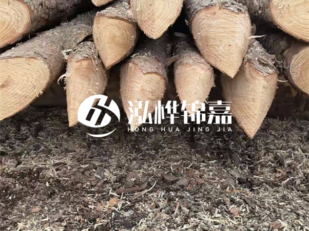 打樁木樁與鋼樁相比有哪些優(yōu)缺點(diǎn)？如何進(jìn)行后期維護(hù)？