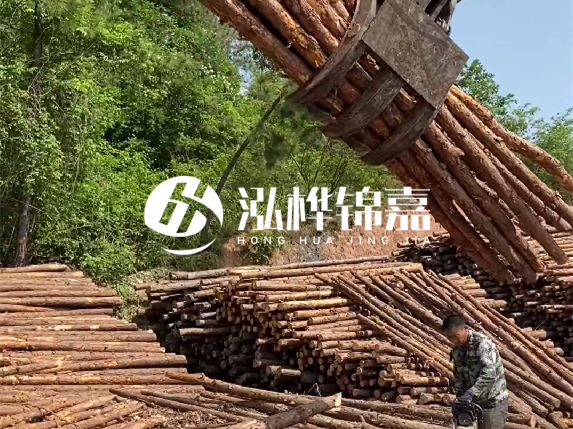 哪里能買到優(yōu)質 3 米松木樁？長沙有松木樁批發(fā)工廠嗎？