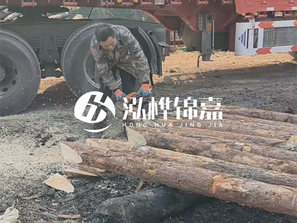 松木圓木價(jià)格大概多少一方-松木樁廠家按方可以賣嗎？