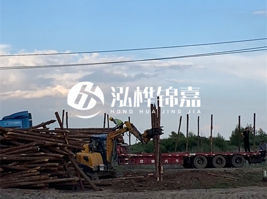 河北打樁木源頭廠家泓樺錦嘉 - 北方常用打樁木是什么？