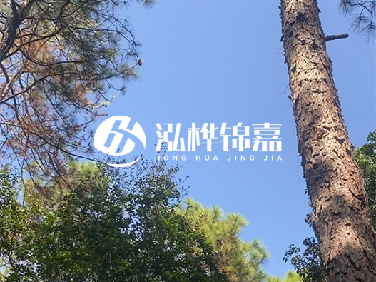 松木樁廠家的供貨能力強不強-怎么才能聯(lián)系到松木樁廠家？