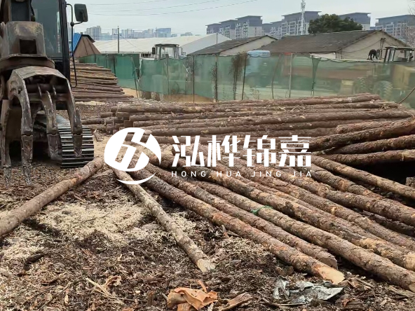 2 米長(zhǎng)度松木樁多少錢？松木樁 10 一 15 公分價(jià)格？