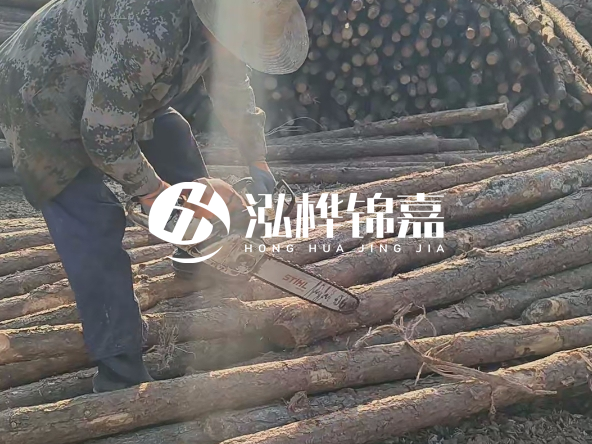 廣東打樁木源頭廠家泓樺錦嘉 - 如何選擇適合特定邊坡的松木樁？