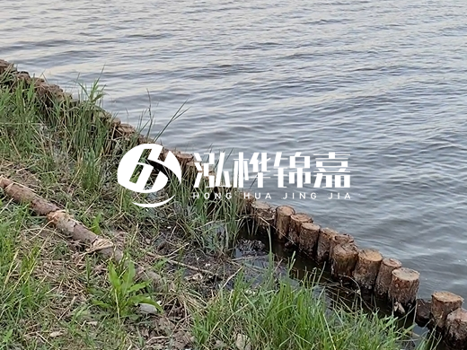 防洪松木樁施工重要性？河道打木樁的位置怎么確定？