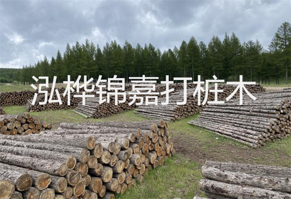 預(yù)制松木樁施工工藝：優(yōu)質(zhì)材料，高效快速，堅固耐用