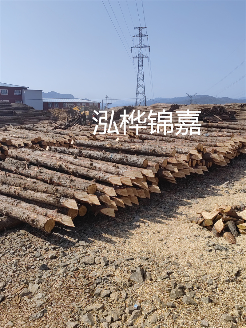 深入了解松木樁基礎施工單價，助力工程建設順利進行！
