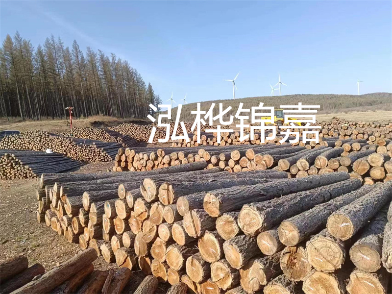 用路基松木樁施工方案提升工程質(zhì)量描述：了解路基松木樁施工方案的重要性，提高工程質(zhì)量關(guān)鍵詞：路基松木樁，施工方案，工程質(zhì)量