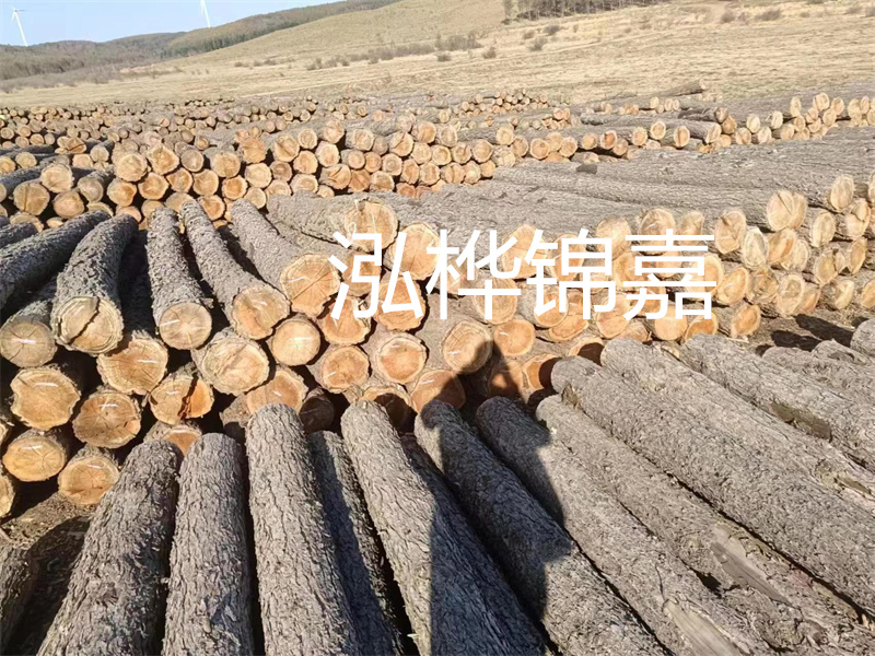 鹽城松木樁河道圍堰施工，保護生態(tài)環(huán)境，打造美麗城市