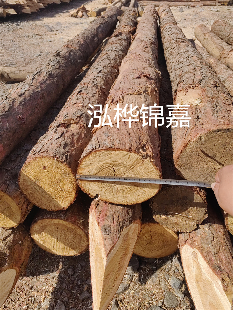 福建哪里買(mǎi)松木樁？
