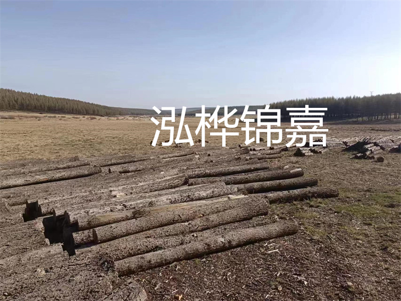 鄂州松木樁哪里好？推薦泓樺錦嘉松木樁業(yè)！